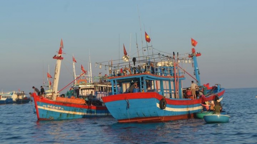Visiting fish market on Ly Son island