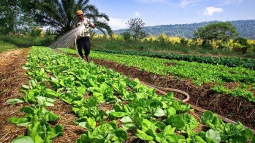 Thailand sets up organic villages and organic valley