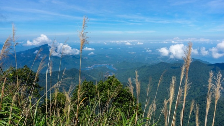 Exploring breathtaking scenery from Bach Ma mountain peak