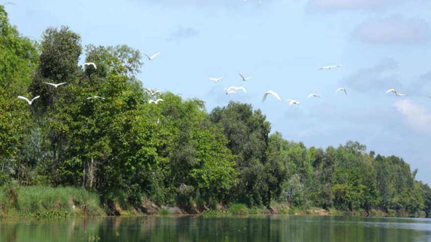 The Mekong Delta's monsoon river ride