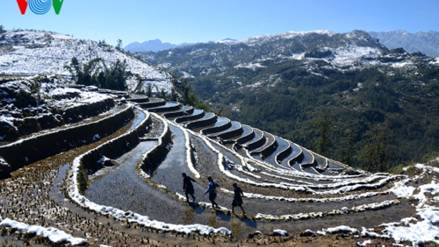 Sapa covered by blanket of snow