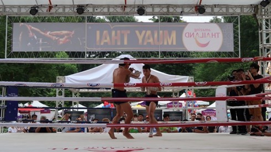 Tenth Thai Festival slated for mid-September in Hanoi