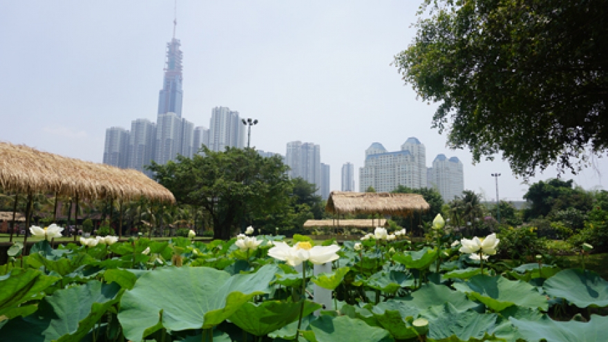 Escape the summer heat with the top 5 getaways around HCM City