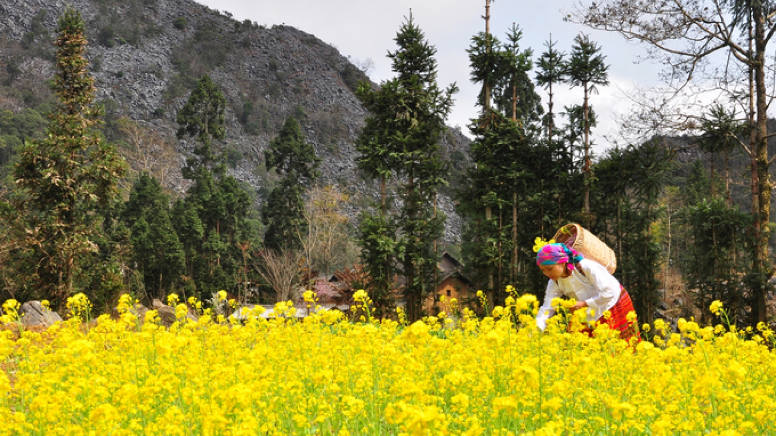 Top 10 places in Dong Van Karst Plateau for photo hunters