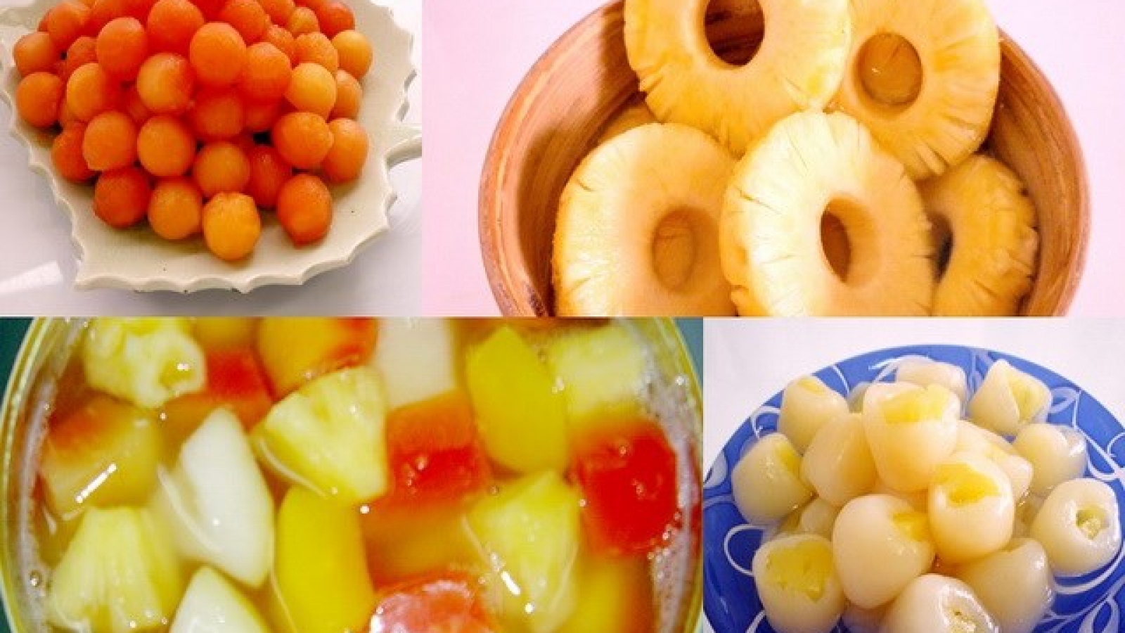 Works begin on fruit canning plant in Vinh Long