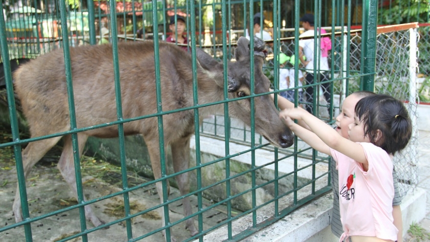 Da Nang park seeks permission to shut down zoo