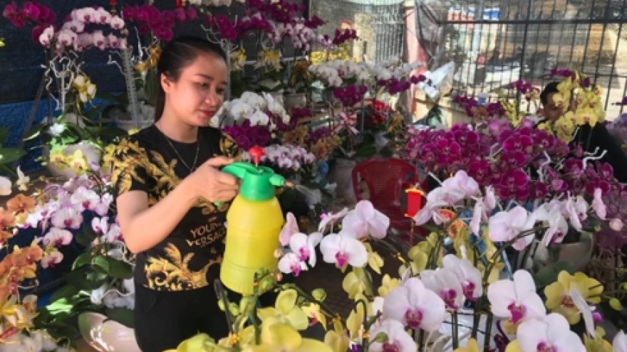 Hectic atmosphere descends on Buon Ma Thuot flower market 