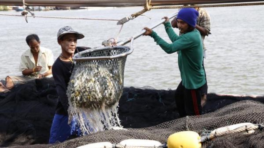 Migrant workers in fisheries sector allowed to renew their work permits