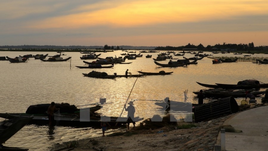 Alluring, tranquil beauty of Quang Loi Lagoon