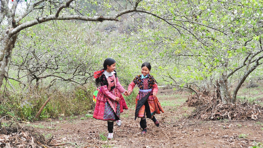 H’Mong kids enjoy early Tet in Moc Chau