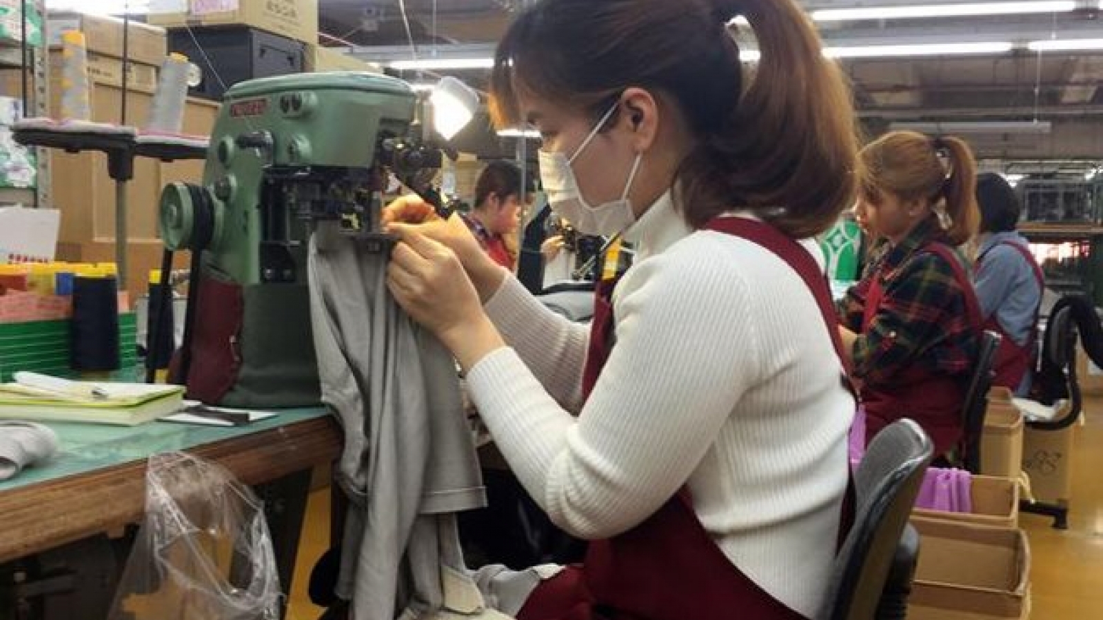 Japan takes lead in attracting Vietnamese workers