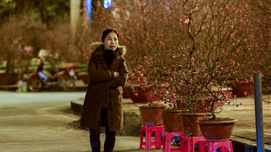 Growers sleepless tending peach and kumquat trees in cold weather