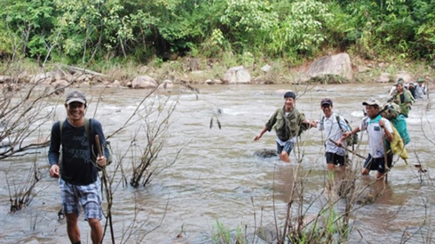 Citizen patrols: good for forests, good for farmers