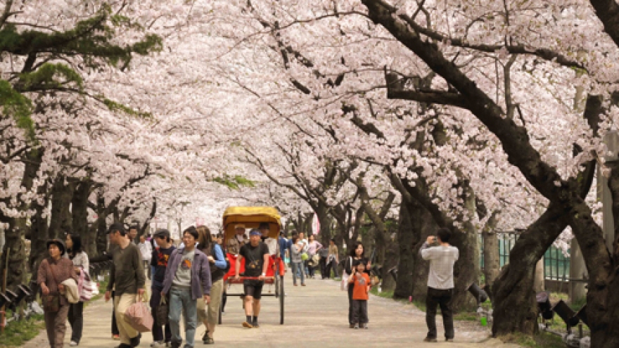 Vietnamese tourists to Japan set record