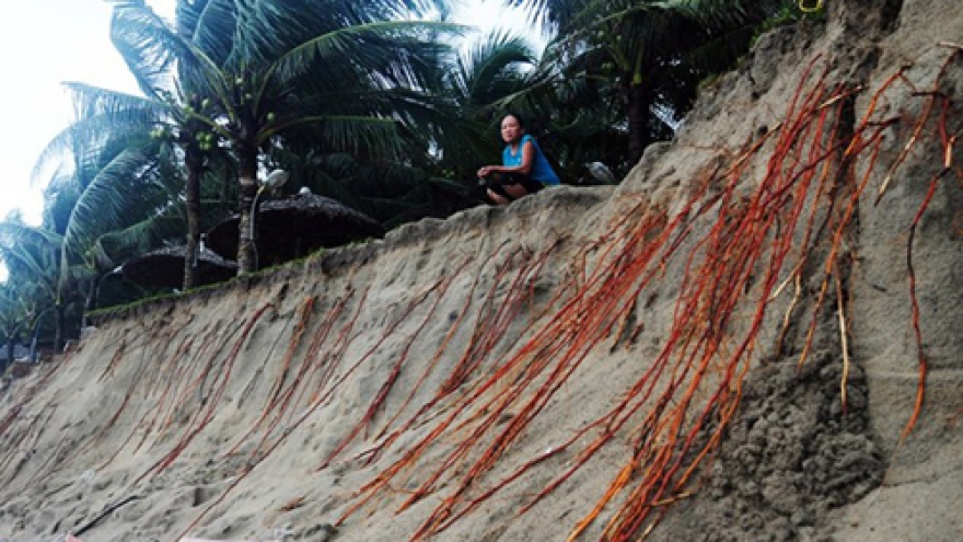 Erosion threatens beach in Lang Co Bay