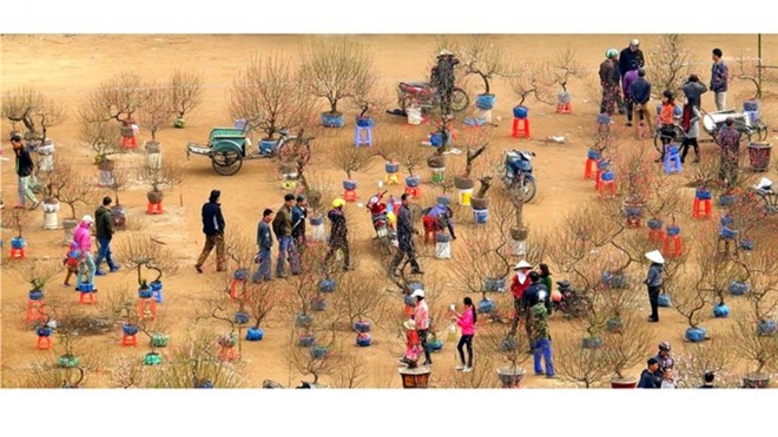 Photo contest yields snapshots of national life