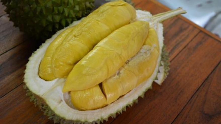Yala Durian City