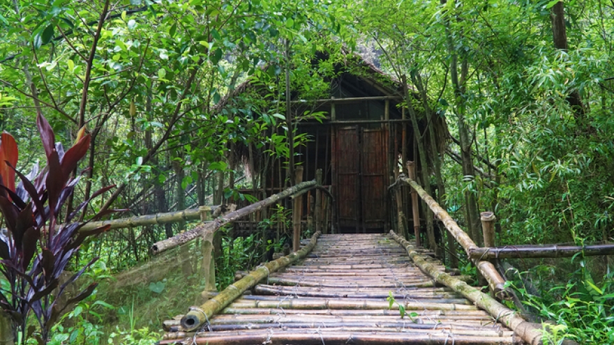 Bamboo bungalows in Ninh Binh prove a hit among visitors 