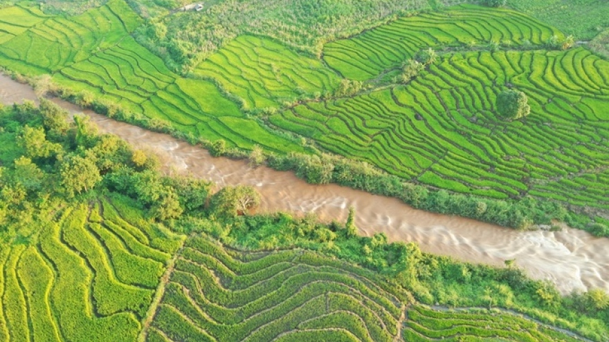 Discovering terraced fields of Chu Se from height  