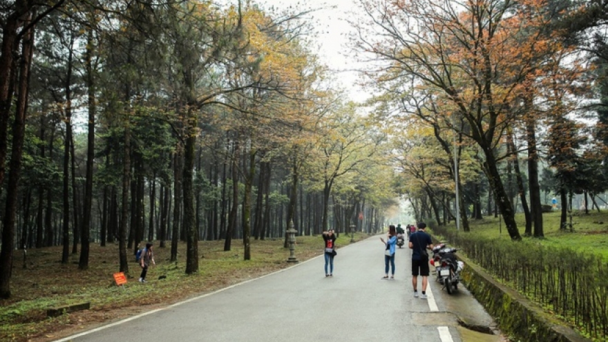 Ba Vi National Park- an ideal tourism destination