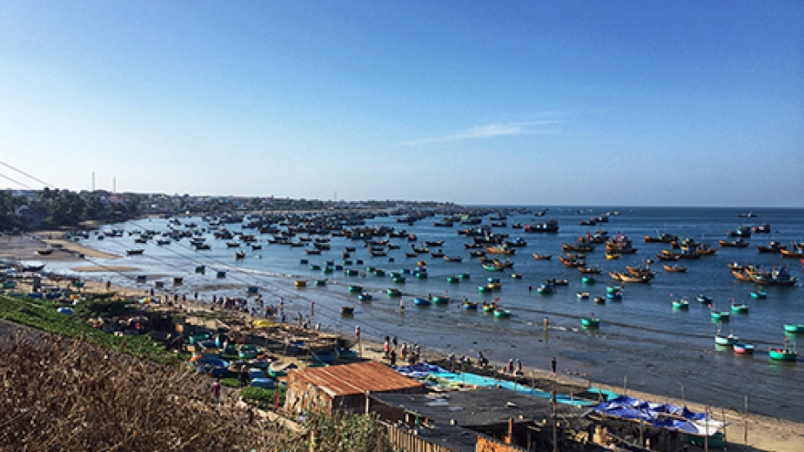 Top 5 summer activities for visitors to Phan Thiet-Mui Ne