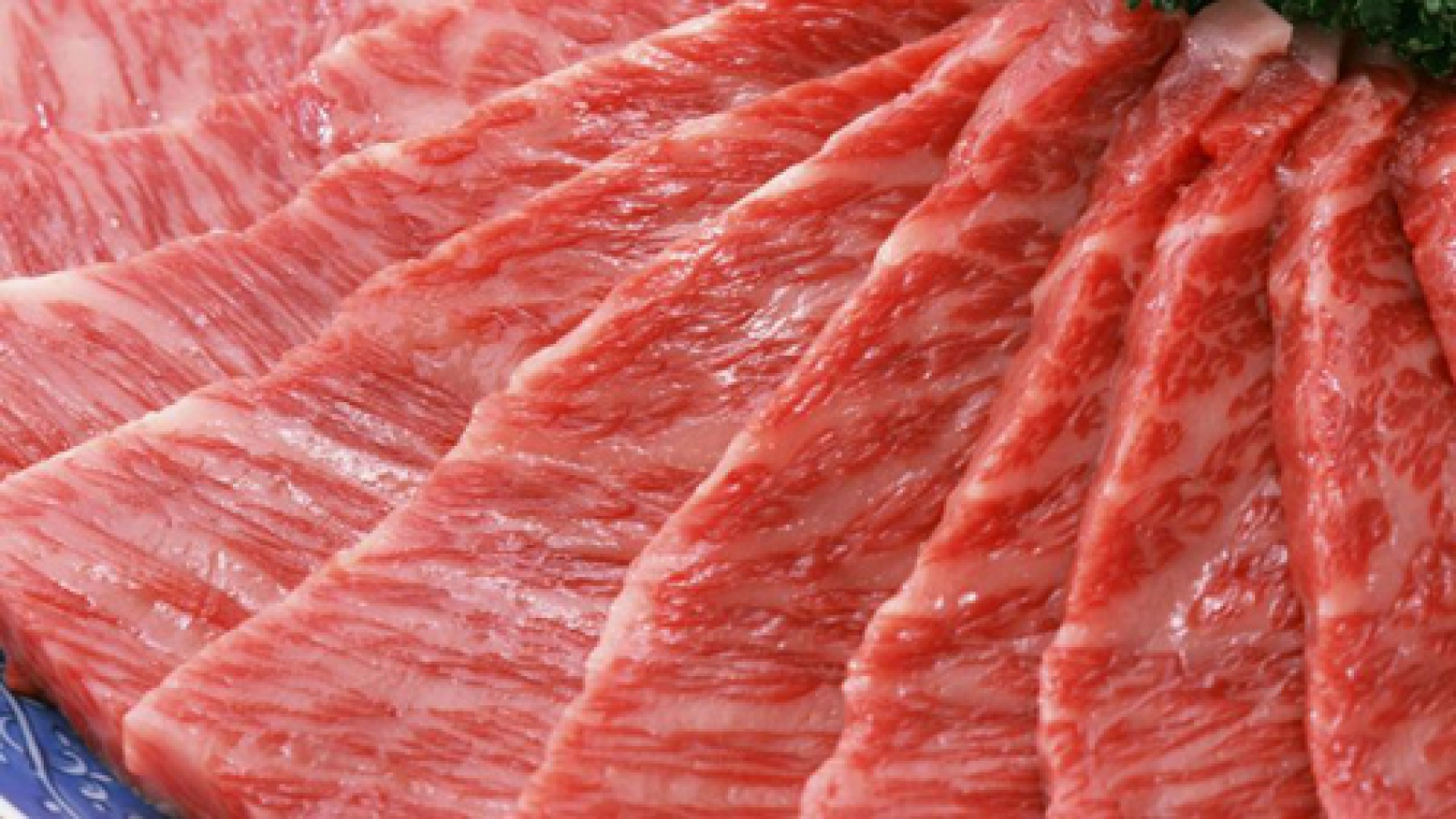 Polish agriculture companies eye Vietnamese market