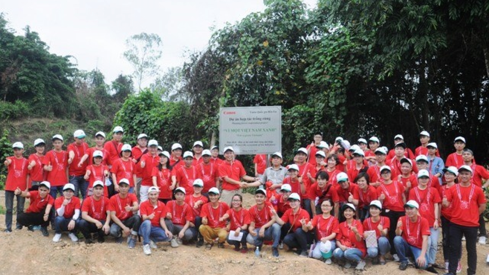 Canon pushes forest planting in Thanh Hoa
