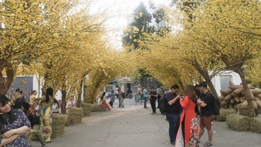 Popular check-in point in HCM City for young people during Tet