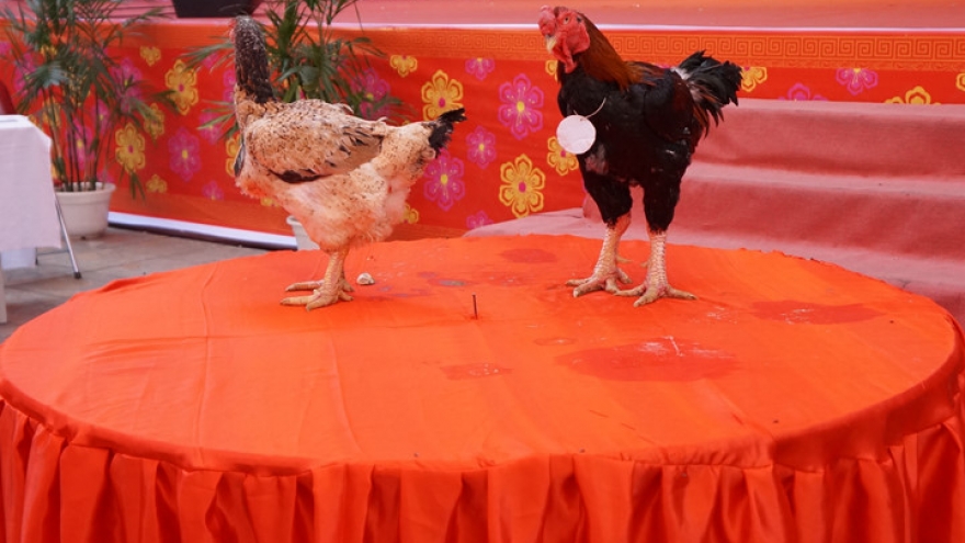 Poultry judging contest held in Hanoi