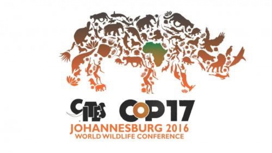 Vietnam attends 17th CITES conference in South Africa