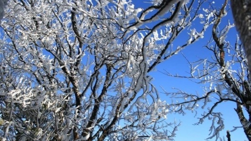 Top places to find a winter wonderland in Vietnam