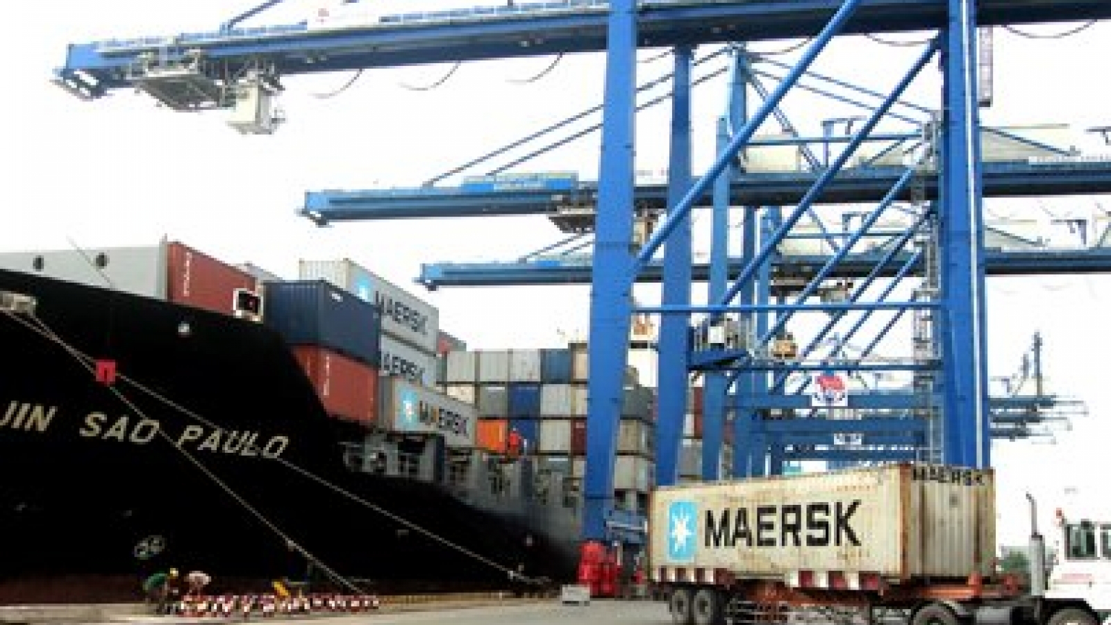Former minister: TPP to help reduce dependence on China