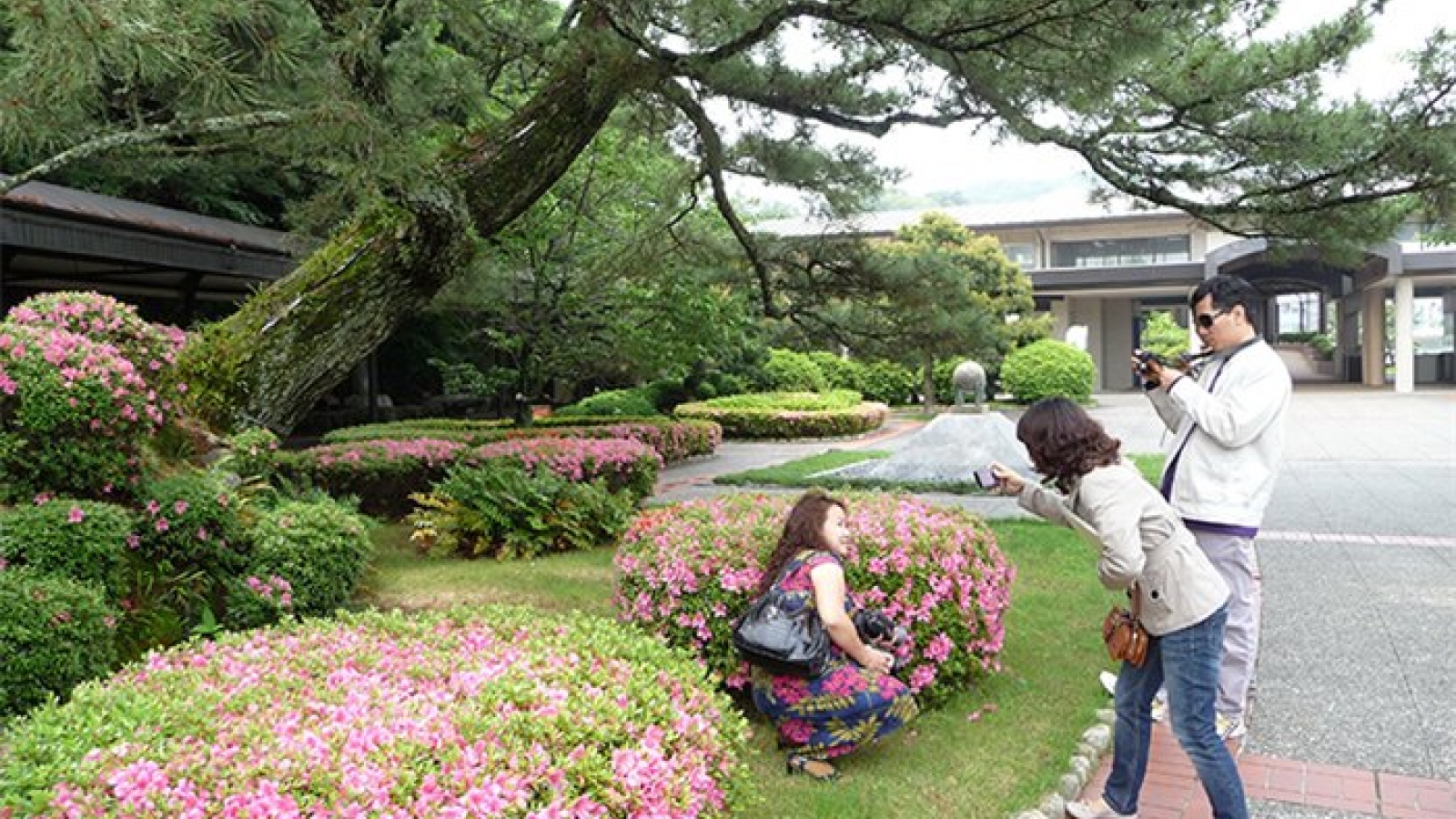 Vietnamese tourists can apply for Japan visas at travel firms