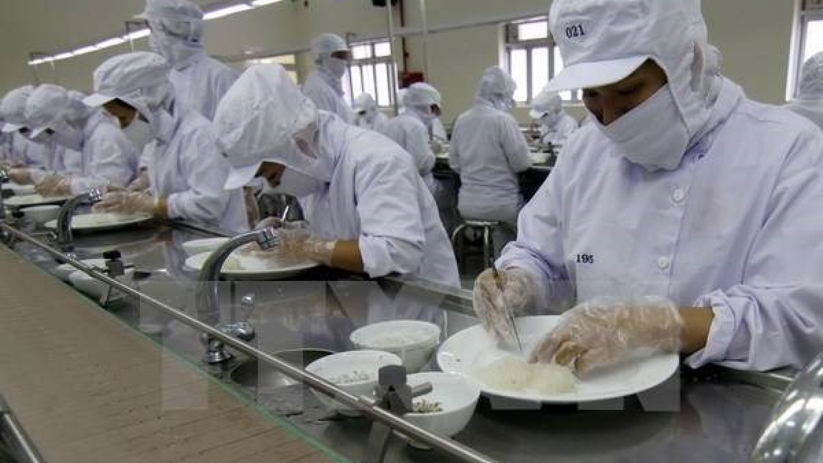 Swiftlet farming looks towards sustainable development