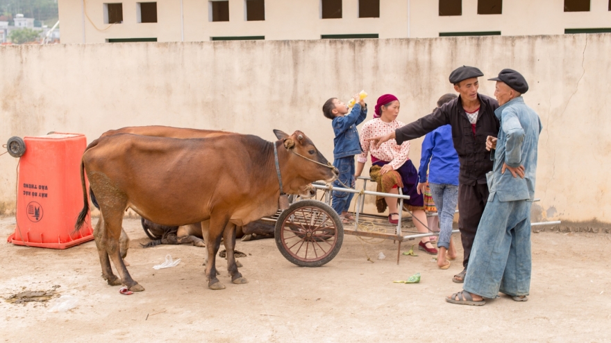 American photographer to launch photo book on daily life in Vietnam
