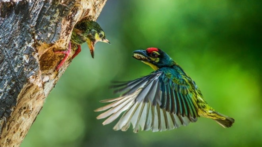 HCM City exhibit puts female photographers on display