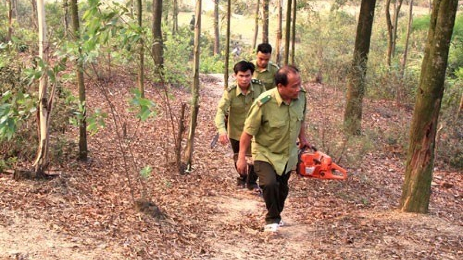 Ministry orders expanded forest-fire protection in dry season