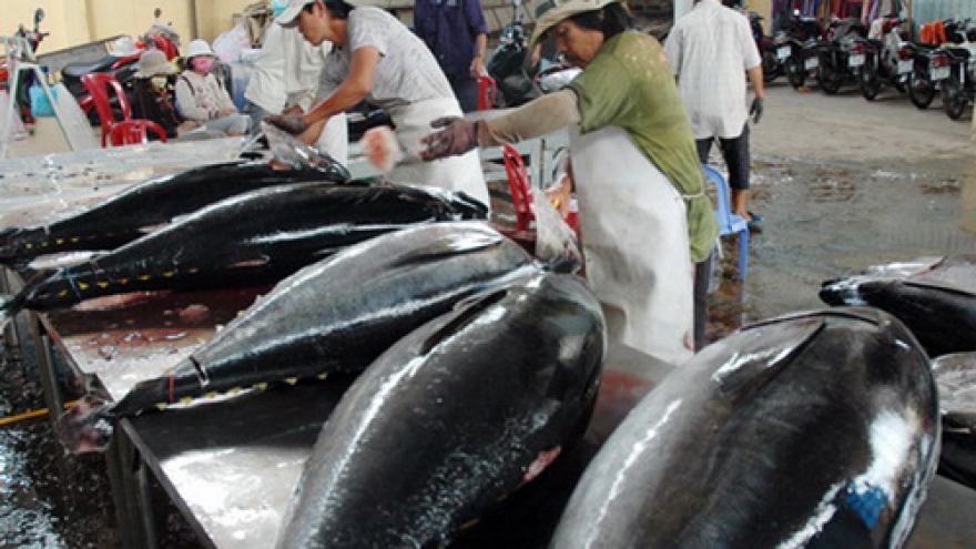 Local company exports ocean tuna to Japan