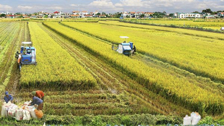 Local agriculture and seafood industries struggle 