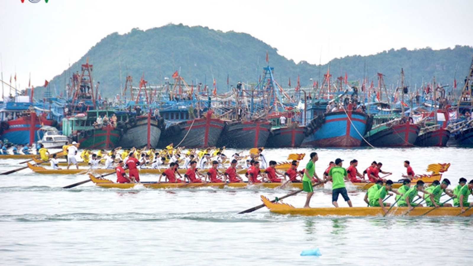 Making waves! Dynamic Dragon Boat racing on Cat Ba Island
