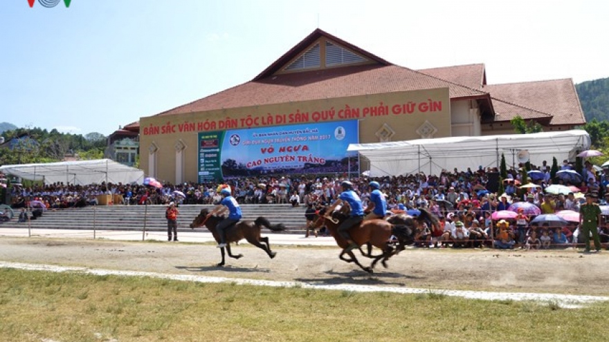 Horse racing in Bac Ha Plateau