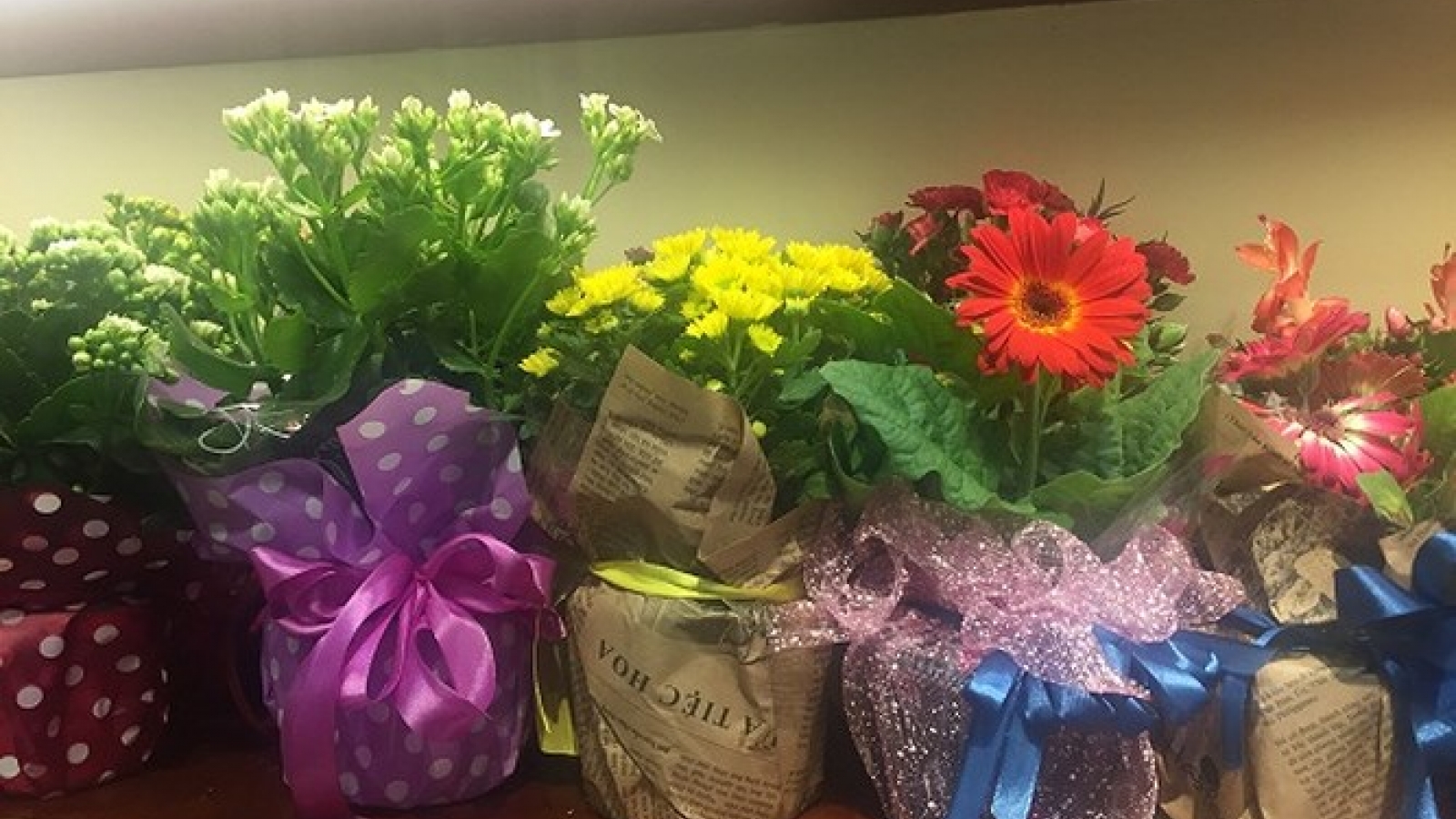 Flowers a popular gift for International Women’s Day