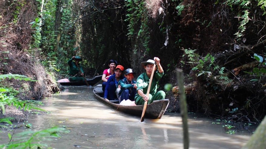 
        Exploring cajuput forests in the western region 
                          
                      