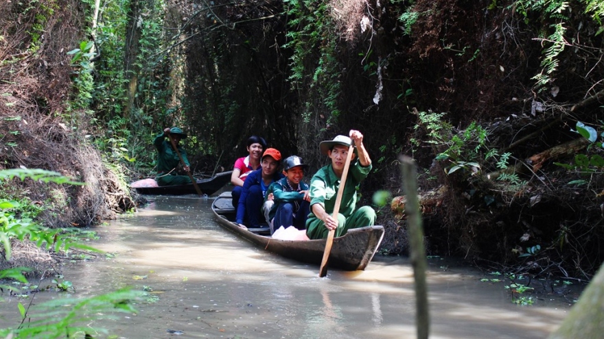 Exploring cajuput forests in the western region 