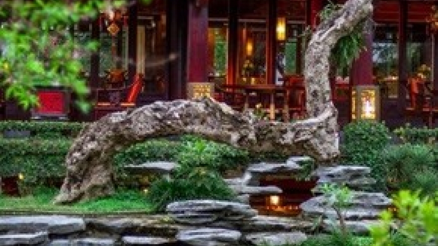 Ornamental plant and pet festival to take place in Hanoi