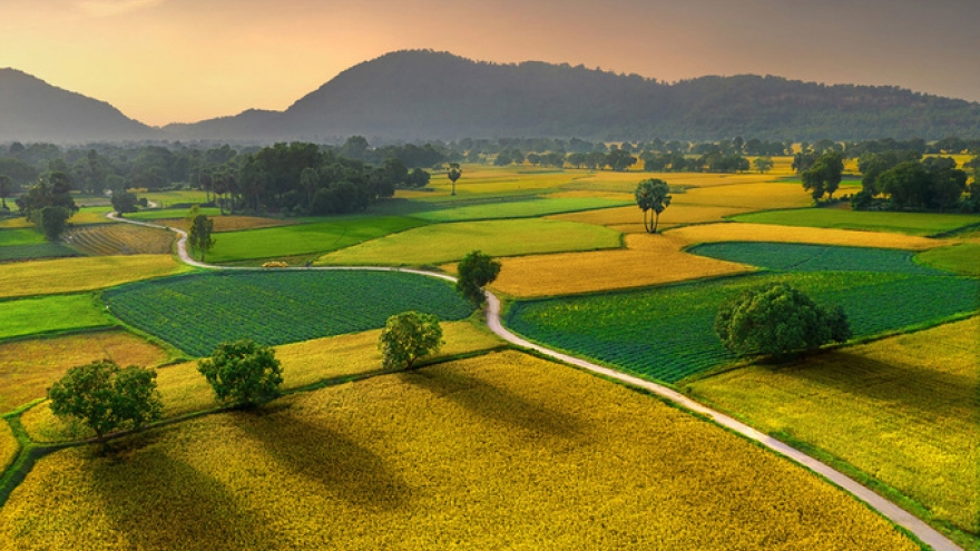 Top 10 winning photos from ‘Vietnam’s landscapes from height’ contest