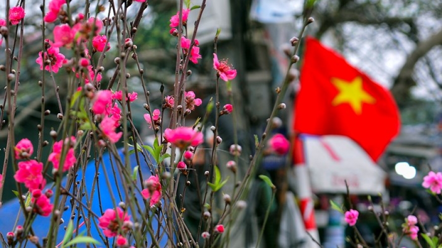 Hanoians rush to buy up peach branches on 15th day of lunar month