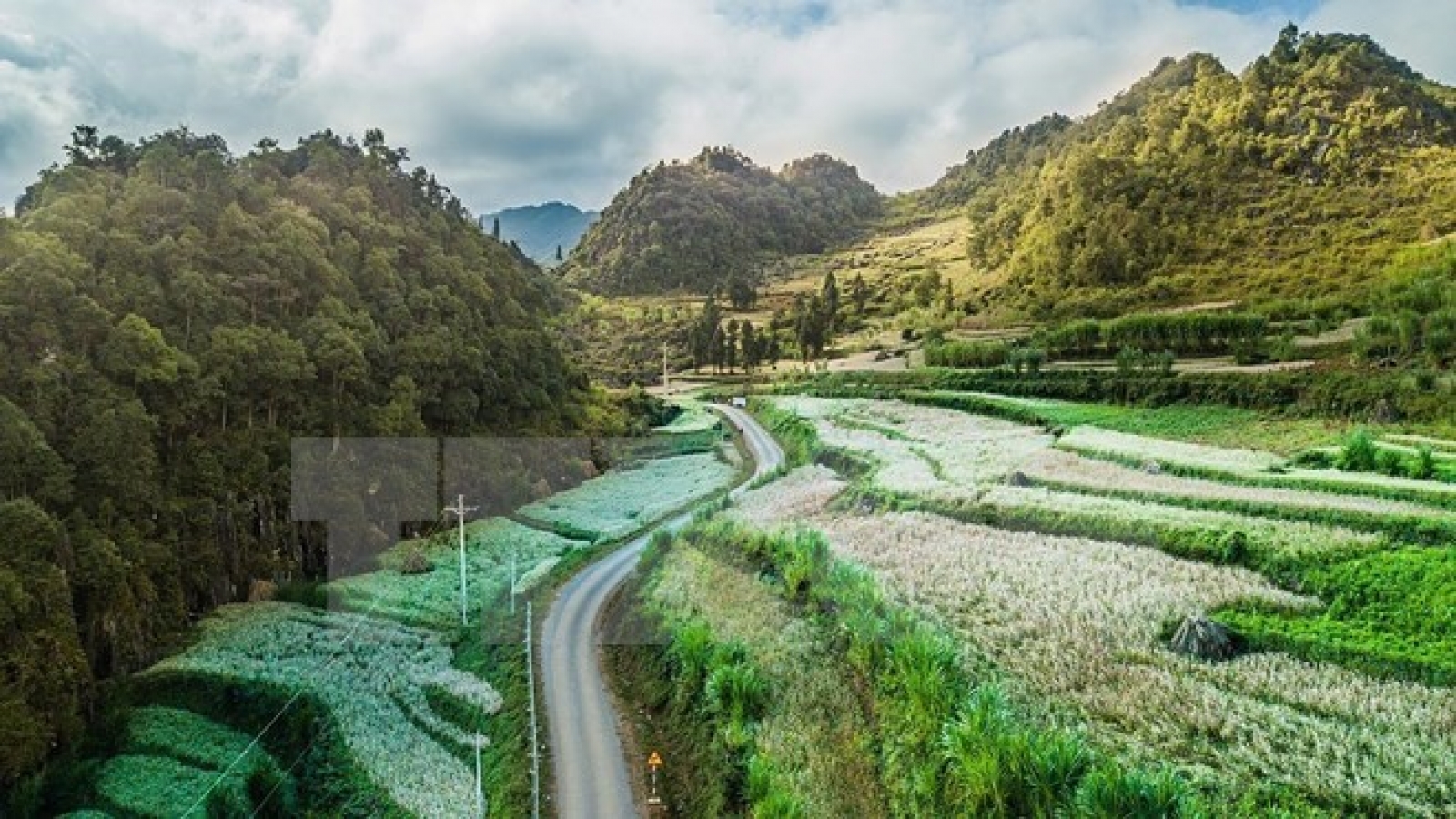 ADB helps improve lives in Vietnam’s northeastern provinces