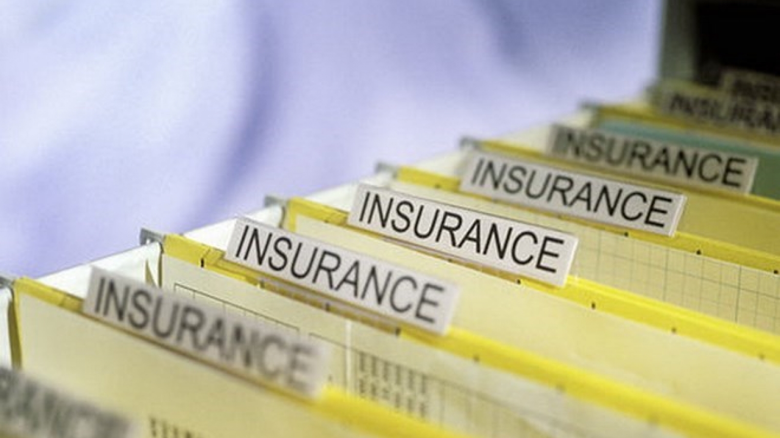 AEC brings opportunity to Vietnam’s insurance sector