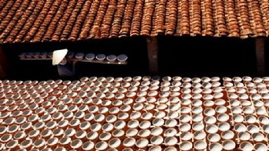 Vietnam wins big prizes at APEC Photo Contest 2013